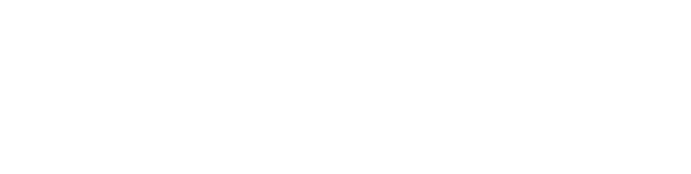 soleo* GmbH Logo